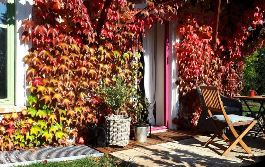 Apartmány Ruprechtov Hroznetin Exterior foto